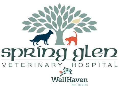 spring glen veterinary  Buckley, WA